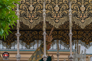 _DSC7839%20copia IMÁGENES DEL LUNES SANTO HERMANDAD SACRAMENTAL DE HUMILDAD Y PACIENCIA