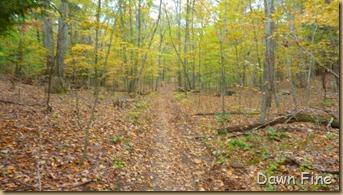 Lantern Hill Hike_057