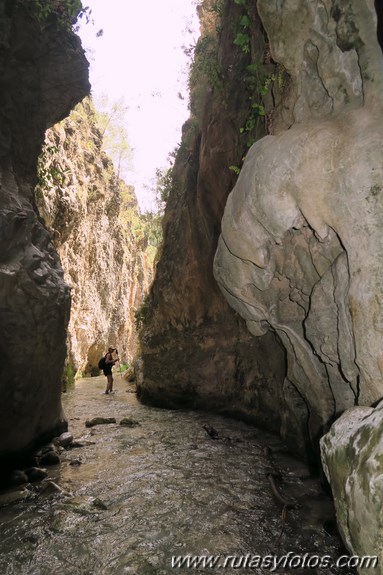 Sierra de Enmedio - Cruz del Pinto - Río Chíllar