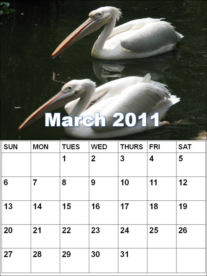 2011 march calendar printable. MARCH 2011 CALENDAR PRINTABLE