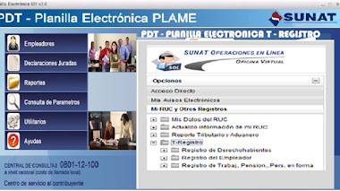 Sunat: Uso de la planilla electrónica desde noviembre