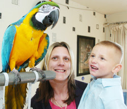 Dylan Hargreaves， Autistic Boy Learning talking from parrot