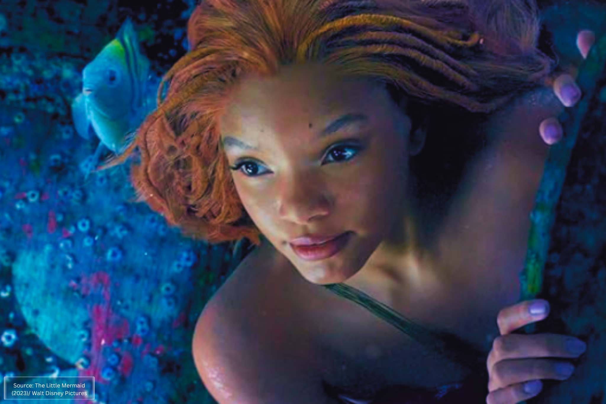 The Little Mermaid (2023) They Cloned Tyrone (2023) Moviebroz List of Best Black Main Protagonists Movie You Need To Watch