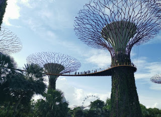 Gardens by the Bay o Jardines de la Bahía. Supertrees o Superárboles. Singapur o Singapore.