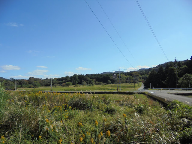 横に走っている道路は36号名和岸本線です