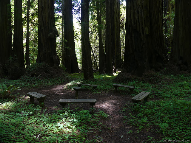 benches in a circle