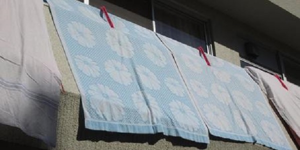 ベランダの柵や壁に布団を干すと赤い虫 ダニ だらけになる件 Tabi G 旅路