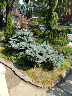 Leslieville fall cleanup after by Paul Jung Gardening Services Toronto