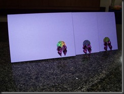 P9030019