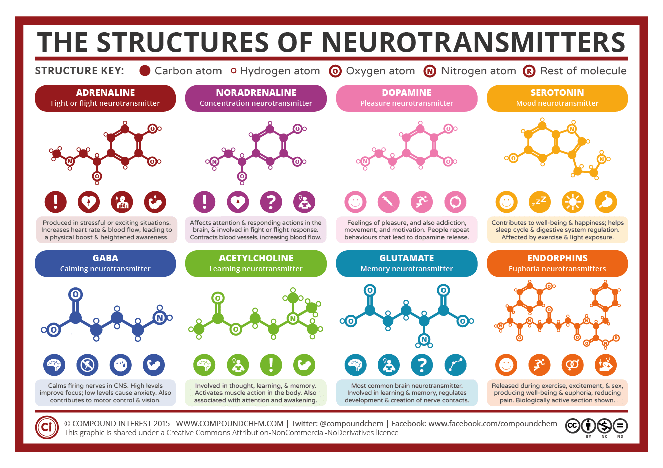 struktur dan efek neurotransmitter