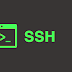 sshLooter - Script para roubar senhas do SSH