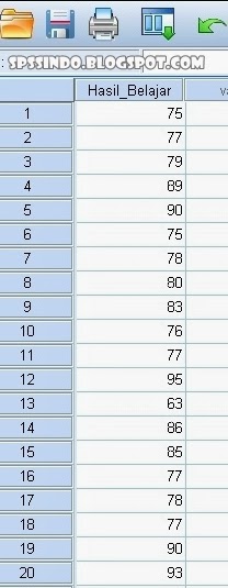 Cara Melakukan Uji Statistik Deskriptif dengan Software 