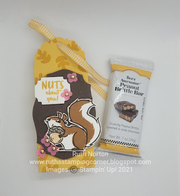 stampin up, nuts about squirrels