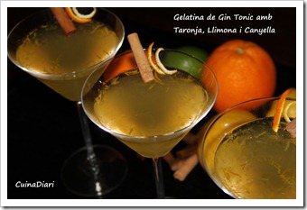 7-gin tonic jelly-ppal-