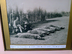 The Royal Hunt