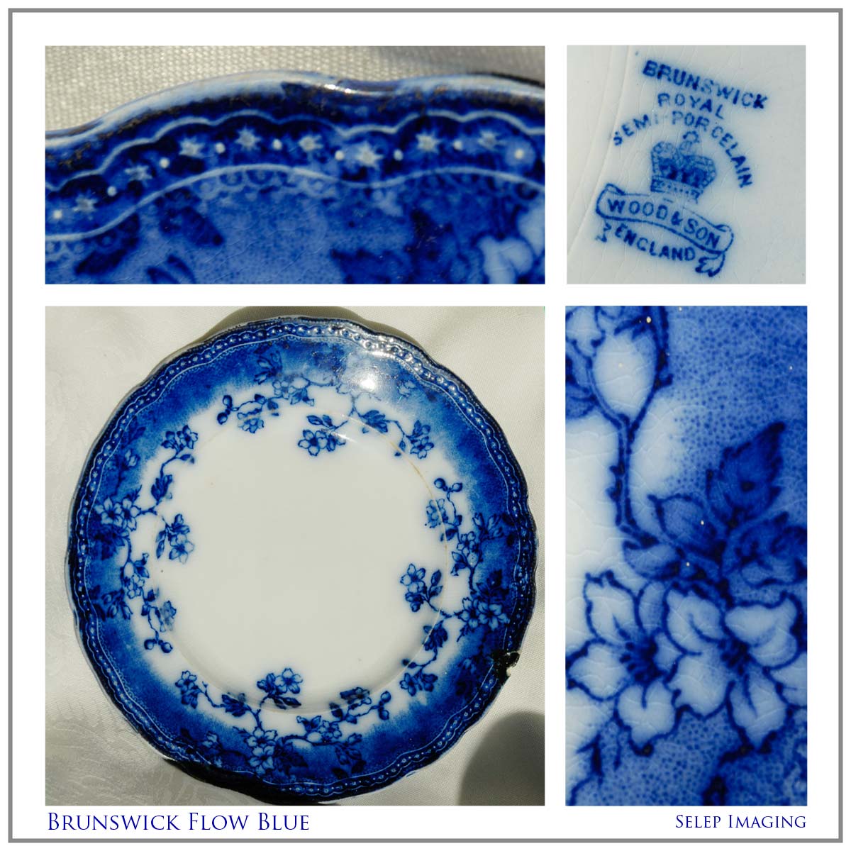 Jeanne Selep Flow Blue Brunswick China