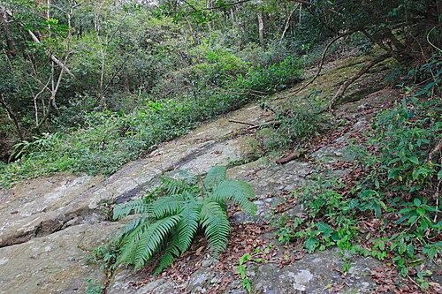 photo_014