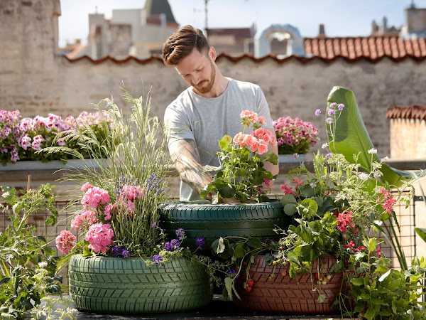 5 Tips To Have The Best DIY Garden This Summer
