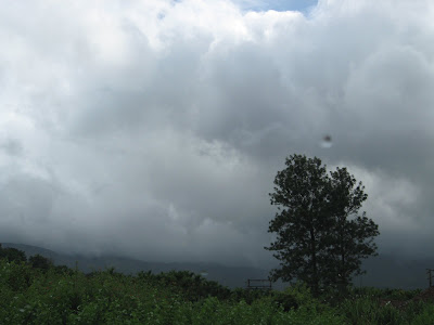 ಇಮೇಜ್