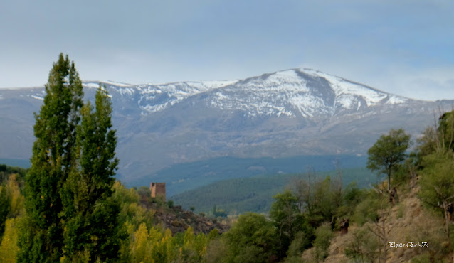 Jérez del Marquesado,  Barranco, otoño, Torre Alcázar