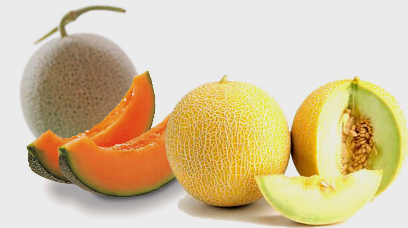 Khasiat dan Manfaat Buah  Melon  Bagi Ibu Hamil info sehat 