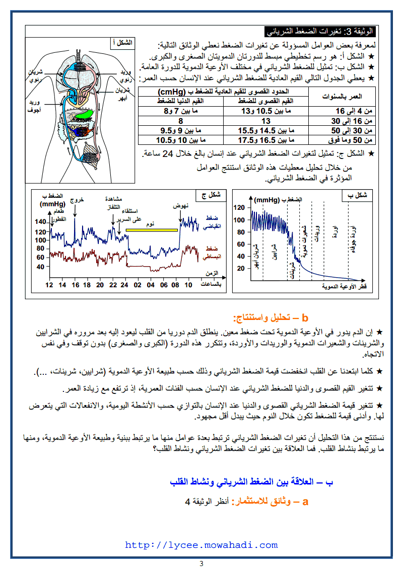 تعميم مفهوم الاندماج العصب هرموني-3