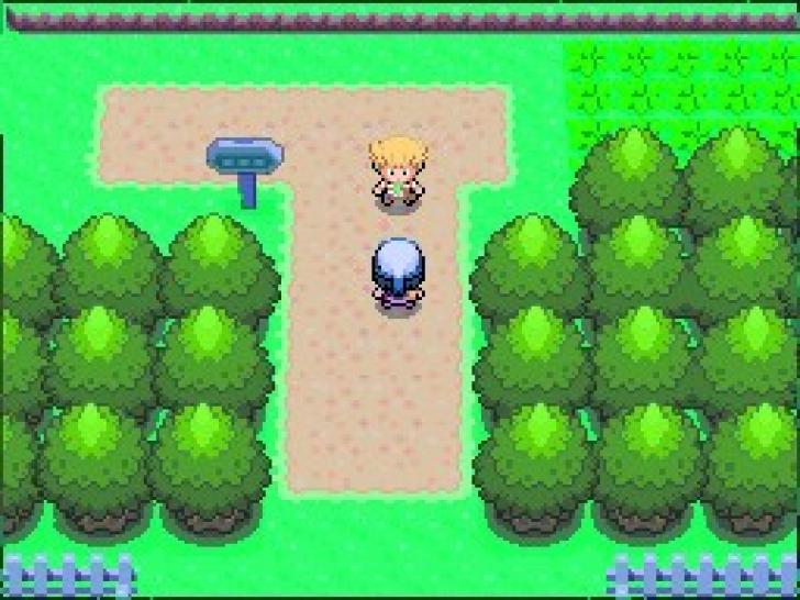 É hora de brilhar! Um guia para capturar Pokémon shiny em todas as  gerações! - Nintendo Blast