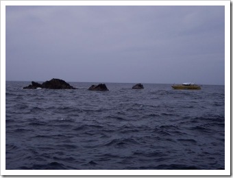 clip_image003