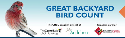 Great Backyard Bird Count logo