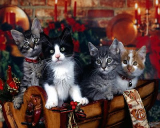 Free Christmas Animal Wallpaper