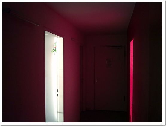 The Red Corridor