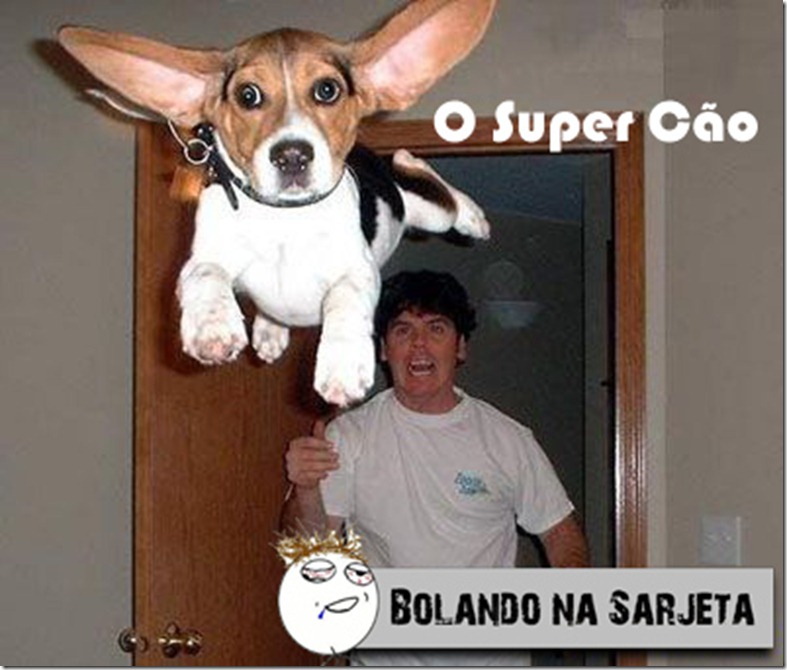 o super cão