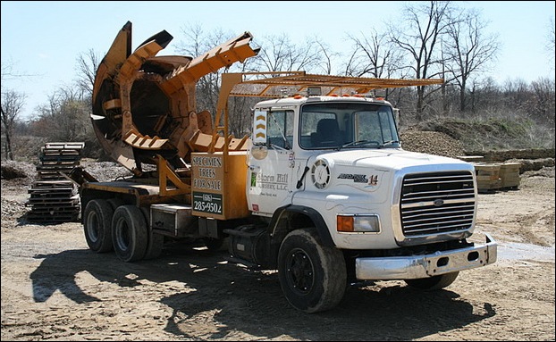 Tree Spade and Transporter 10