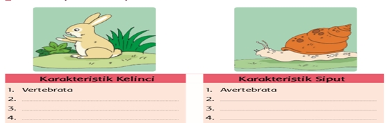 Soal Tematik Kelas 5 SD Tema 1 Subtema 1