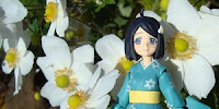 http://www.optimisticpenguin.com/2013/04/figma-tsukihi-araragi-review.html