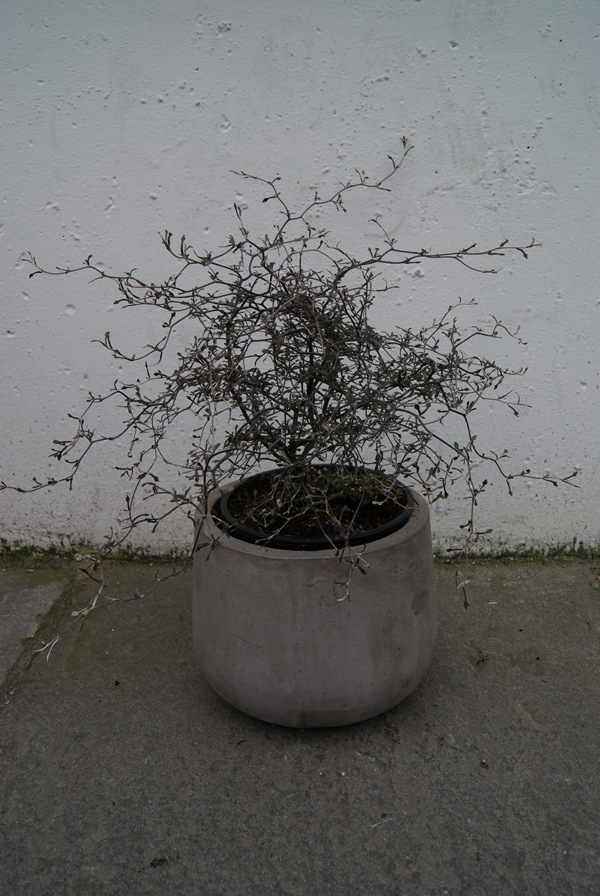 DSC01943
