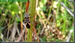 20140916_123048_008_YehLiu