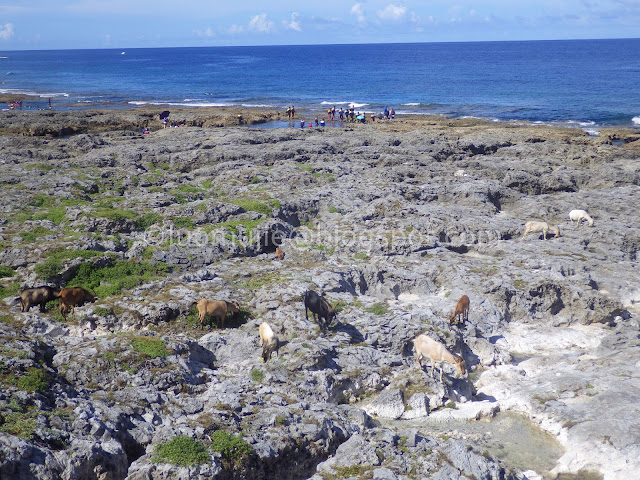 Taitung Orchid Island (蘭嶼)