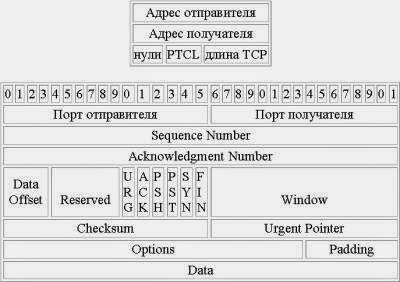 заголовок пакета TCP