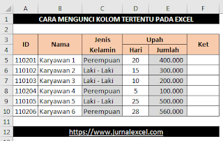 Cara Mengunci Kolom Tertentu Pada Excel - JurnalExcel.com