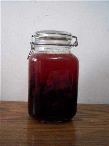 Kvass recipe