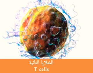 الخلايا التائية