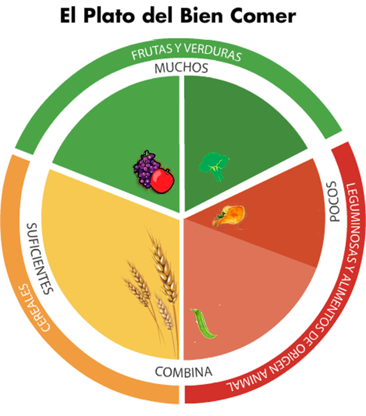 Nutricion Para Ninos Saludables Colores En El Plato Del Bien Comer