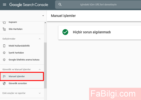 Sitenizin Google Tarafından Ceza Alıp Almadığını Öğrenme - Manuel İşlem