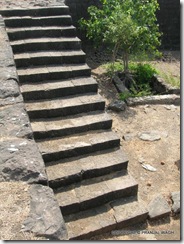 Steps in excellent condition