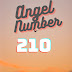 Meaning of Angel Number 210: A message for you!