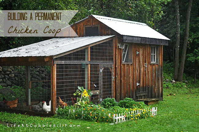 Chicken coop designs for cold weather Build small 