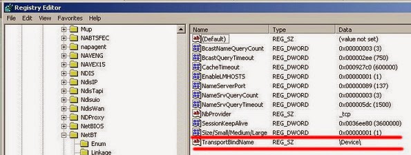 HKEY_LOCAL_MACHINE \ System \ CurrentControlSet \ Services \ NetBT \ Parameters