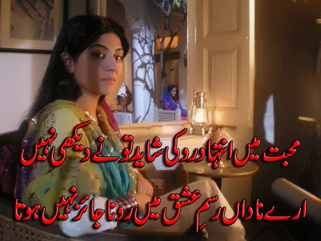 Urdu Poetry Love