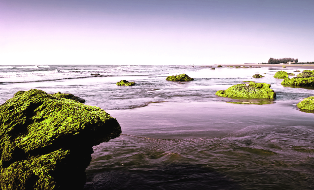 Inani Beach (Cox’s Bazar), tourist attractions in Bangladesh